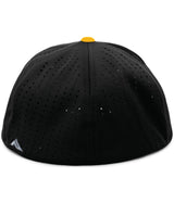 Black/Gold