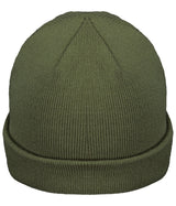 Loden