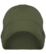 Loden