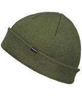 Loden
